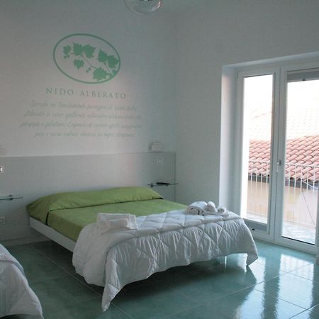 Praja Vecchia Bed and Breakfast Praia a Mare Eksteriør billede